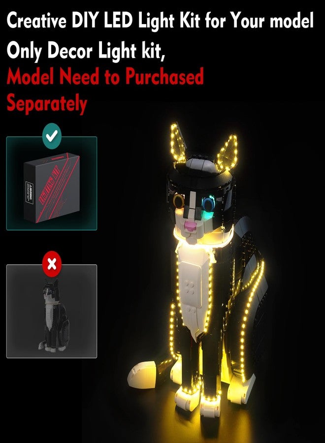 VONADO LocoLee LED Light Kit for Lego 21349 Tuxedo Cat - No Models Only Light, Creative Lighting Set Accessories Compatible with Lego Tuxedo Cat Set - Image 3